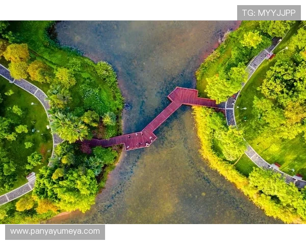 红树林线上娱乐城：在绿色生态背景下享受多样化的线上娱乐内容